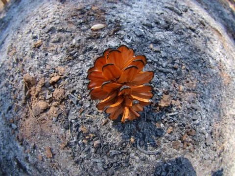 Circumference Foto stock