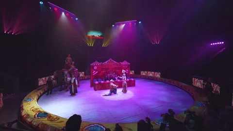 Circus act with a camel, circus performance Stock Footage 231989993