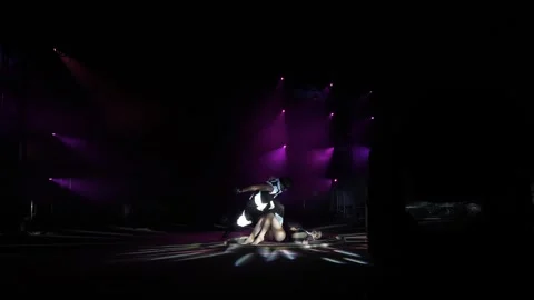 Circus actors perform in the circus arena, a beautiful aerial gymnast number. Stock Footage 311151486