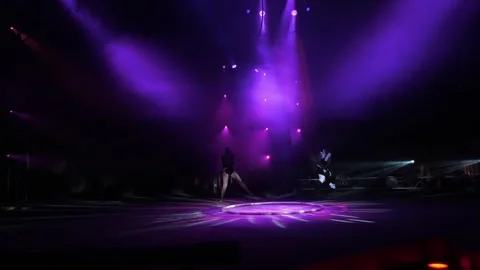 Circus actors perform in the circus arena, a beautiful aerial gymnast number. Stock Footage 311797023