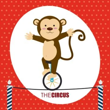 Circus design over red background vector illustration 스톡 일러스트
