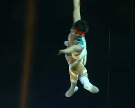 Circus Stock Footage 18520400