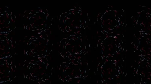 Circus Stock Footage 143596107