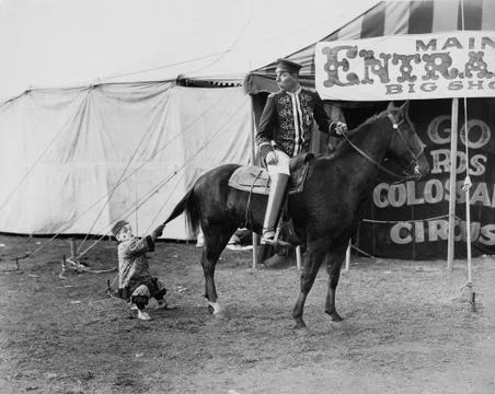 Circus performer pulling horses tail Stock Photos