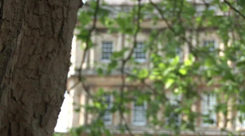 The Circus pull through leaves to windows Stock Footage 666854