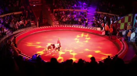 The circus ring and the audience Stock Footage 61107628