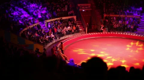 The circus ring and the audience Stock Footage 61107648