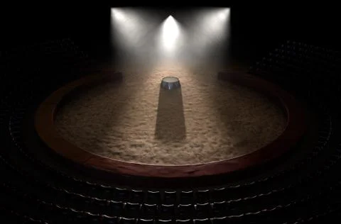 Circus Ring And Podium Stock Illustration