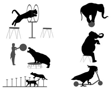 Circus show Stock Illustration