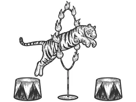 Circus, tiger jumping through a ring of fire. Sketch scratch board imitation. Stock Illustration