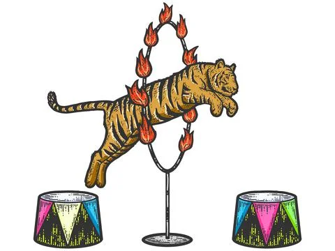 Circus, tiger jumping through a ring of fire. Sketch scratch board imitation Stock Illustration