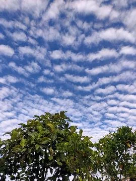 Cirrocumulus Clouds Blanket the Sky Stock Photos