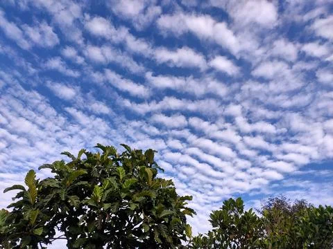 Cirrocumulus Clouds Blanket the Sky Stock Photos