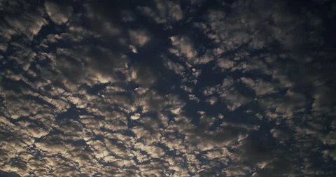 Cirrocumulus clouds flourish and settle with the late-day sun. Video stock 280076551