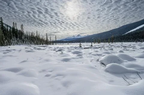 Cirrocumulus Clouds over Emerald Lake Stock Photos