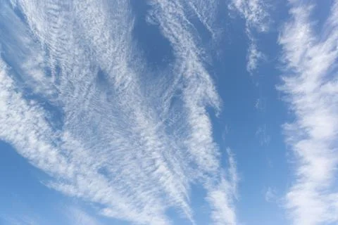 Cirrus clouds are individual thin, light white clouds with fibrous and filame Foto stock
