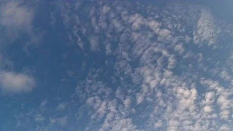 Cirrus clouds in a blue sky. Stock Footage 163916126