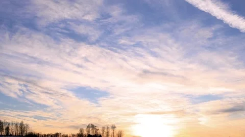 Cirrus clouds on blue sky at sunset. Silhouettes of trees in the distance Stock Footage 257455773