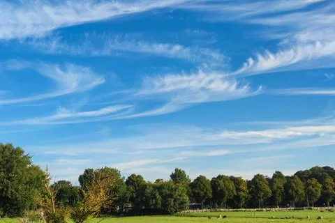 Cirrus clouds in curly hooks Stock Photos