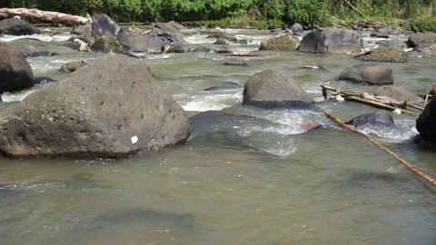 Cisadane River headwaters in Bogor 스톡 동영상 333519086