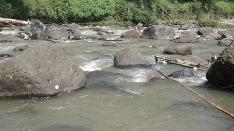 Cisadane River headwaters in Bogor 스톡 동영상 333519087