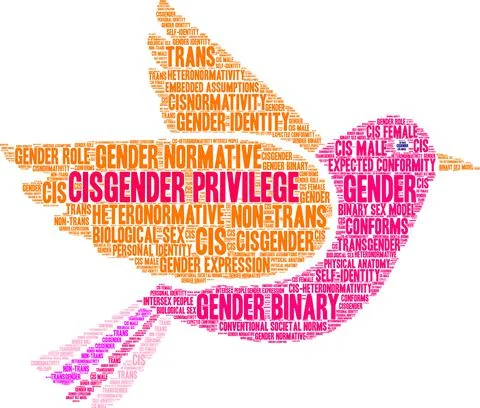 Cisgender Privilege Word Cloud Illustrazione stock