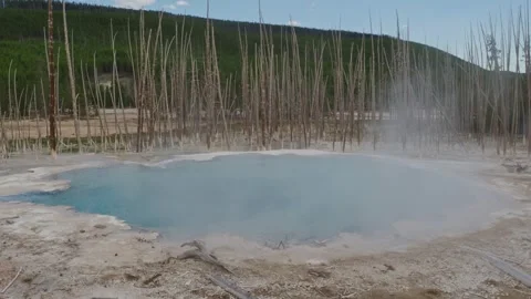 Cistern Spring (full) - Yellowstone Norris Geyser Basin Stock Footage 282220411