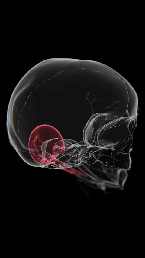 Citelli Absces indication video in Vertical format | Citelli Absces Video in Stock Footage 322786775