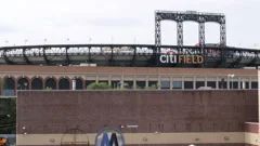 dog at citi field NY mets baseball stad, Stock Video