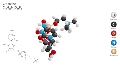 Citicoline or CDP-choline. 3D model. C14H26N4O11P2. White background. 3D render Stock Footage 293066504