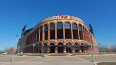 dog at citi field NY mets baseball stad, Stock Video