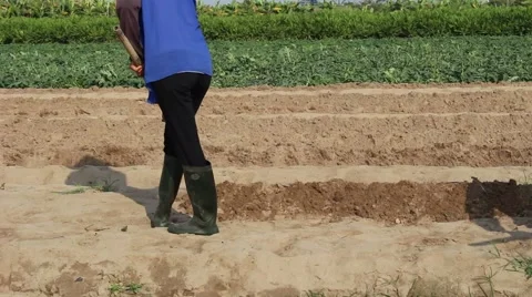 Citizens working in the field, 스톡 동영상 45919259