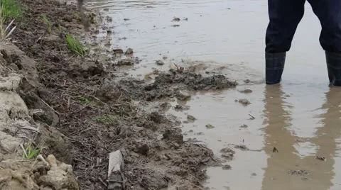 Citizens working in the field Stock Footage 47455425