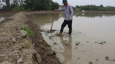 Citizens working in the field Stock Footage 47455445
