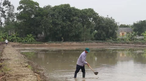 Citizens working in the field Stock Footage 47455931