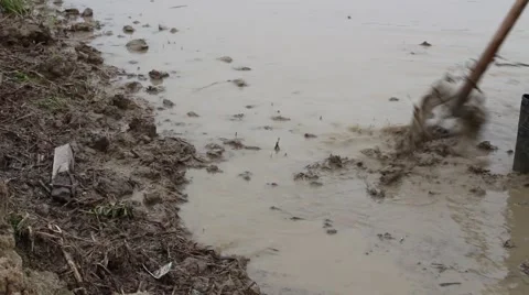 Citizens working in the field Stock Footage 47456325