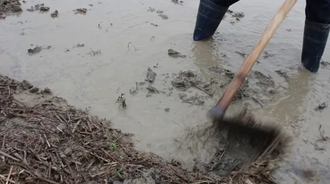 Citizens working in the field Stock Footage 47456473