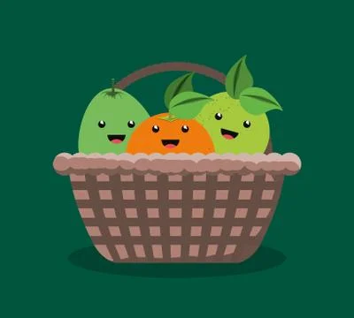 Citric fruits design Stock Illustration