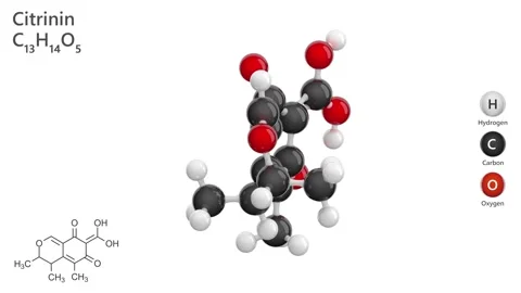 Citrinin. Antibiotic. 3D model of a molecule. C13H14O5. White backg. 3D render Stock Footage 289554555