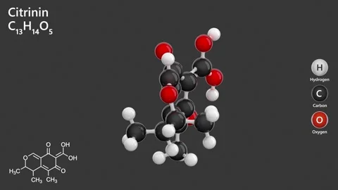 Citrinin. Antibiotic. 3D model of a molecule. C13H14O5. Gray back. 3D render Stock Footage 294754306