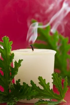 Citronella candle Stock-Fotos