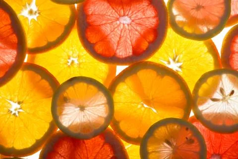 Citrus background 写真素材