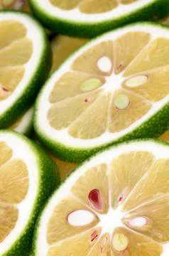 Citrus Background Stock Photos