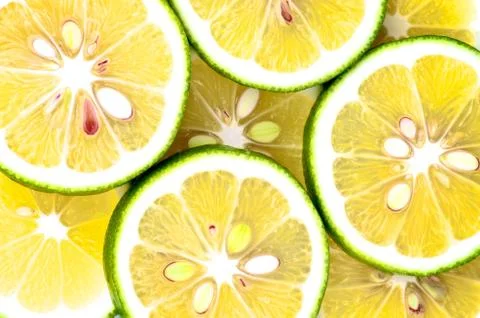 Citrus Background Stock Photos