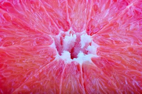 Citrus backgrounds, grapefruit slice Stock Photos
