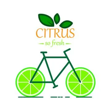 Citrus Bicycle Stock Illustration