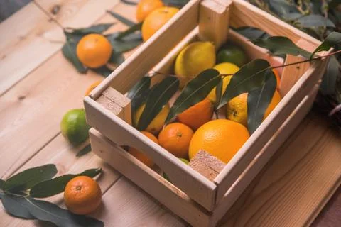 Citrus in box Stock Photos
