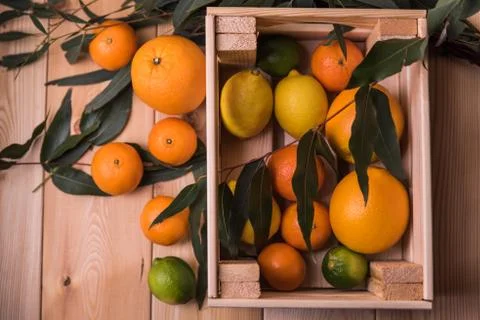 Citrus in box Stock Photos