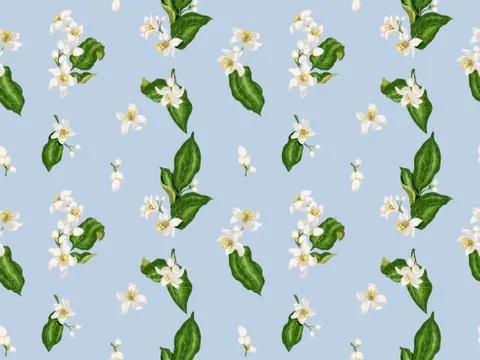Citrus branches seamless pattern with flowers and leaves. Flowers of orange, Stock Illustration