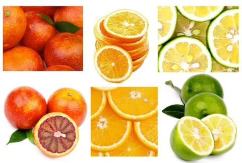 Citrus collection Stock Photos